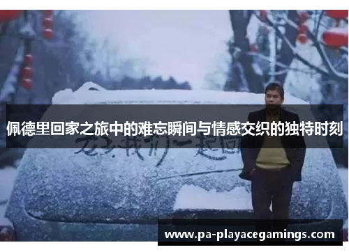 佩德里回家之旅中的难忘瞬间与情感交织的独特时刻