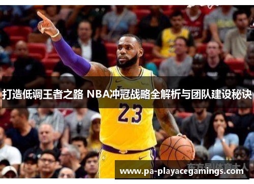 打造低调王者之路 NBA冲冠战略全解析与团队建设秘诀