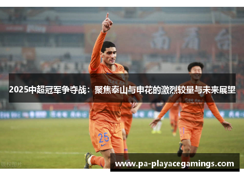 2025中超冠军争夺战：聚焦泰山与申花的激烈较量与未来展望