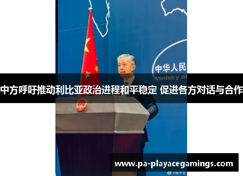 中方呼吁推动利比亚政治进程和平稳定 促进各方对话与合作