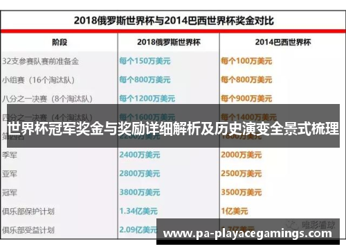 世界杯冠军奖金与奖励详细解析及历史演变全景式梳理
