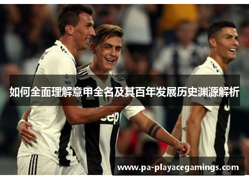 如何全面理解意甲全名及其百年发展历史渊源解析