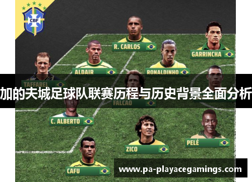 加的夫城足球队联赛历程与历史背景全面分析